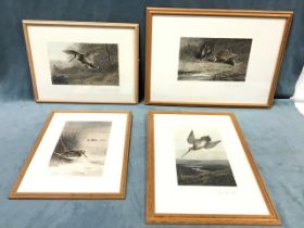 Archibald Thorburn, a set of four lithographic prints depicting various wildfowl titled, mounted and