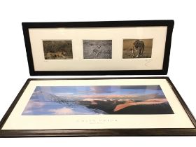 David Simpson, a triptych of wildlife photos, signed and titled The Hunt, framed; and a framed Colin