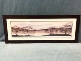 Isabel Martinez, colour print, trees silhouetted against misty hills, titled Fade Away 1 to verso,