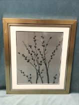 Cheryl Martin, metallic colour print, study of catkins, titled Platinum Shadow to verso, signed in