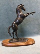 Harriet Glen, contemporary bronze patinated study of a rearing stallion, signed and numbered,