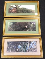 A set of three coloured prints of butterflies in natural settings, the plates mounted & gilt framed.