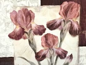 Pamela Gladding, colour print, still life study of irises, titled Trio to verso, signed in the