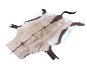 An oryx skin rug with long tail. (62.75in x 98in)