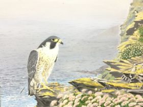 P Henery, oil on canvas, coastal scene with falcon on rocks, signed & dated, framed. (19.5in x 15.