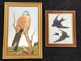 JA Harmer, oil on board, a swallow & house martin in flight, unsigned, framed - 7.5in x 9.5in, and a