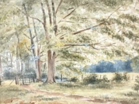 Edwardian watercolour, landscape with path to wood, unsigned, mounted & gilt framed. (11.25in x 8.