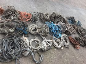 Thirty coiled ropes of various lengths & sizes. (30)