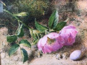 CH Slater, watercolour, still life, briar rose and birds egg on bank, signed and dated, mounted