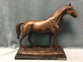 Bronze, study of a horse on rectangular naturalistic ground, unsigned, mounted on marble plinth. (