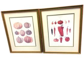 Ernst Benary, pair of coloured prints, chilli peppers and squashes, mounted & framed. (10.75in x