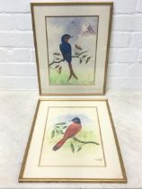 CBS Dangol, watercolours, a pair, studies of Indian birds, signed & dated, mounted & gilt framed. (