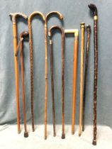 A collection of Victorian walking sticks - mainly with silver & silver plated mounts, malacca,