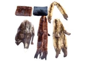 Three mink fur collars, a fox stole, and two fur muffs. (6)