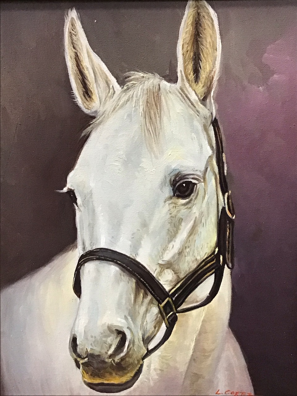 L Cortez, oils on canvas laid on board, horse portraits, a black with white star & stripe, and a - Image 3 of 3