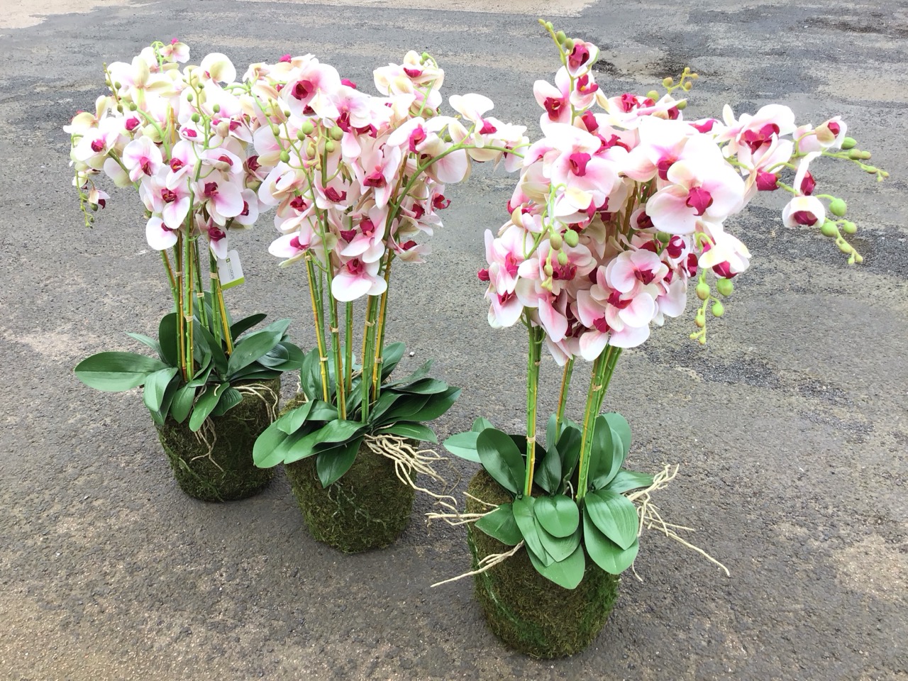 Three large artificial pink phalenopsis orchids. (3) - Image 2 of 3