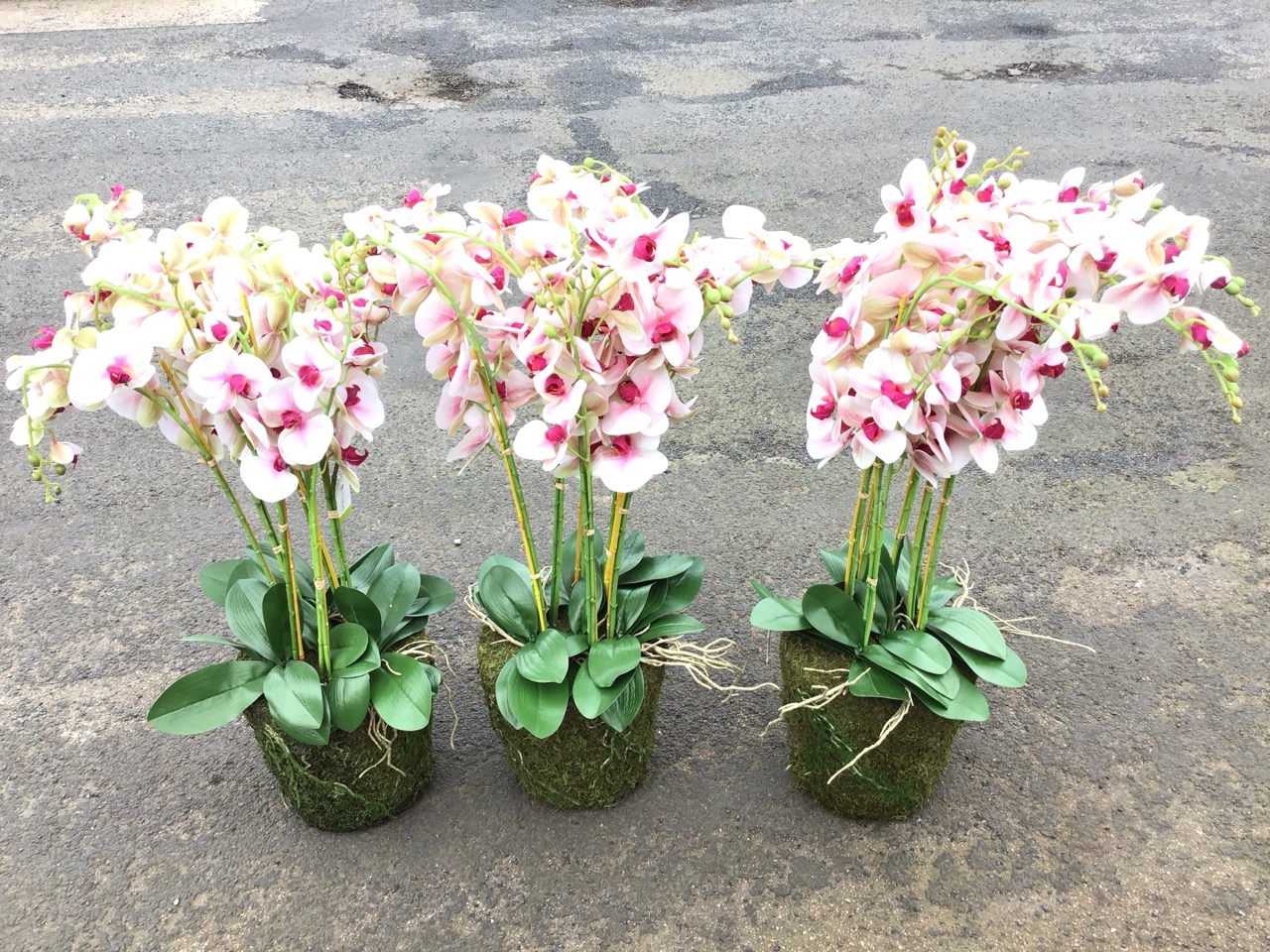 Three large artificial pink phalenopsis orchids. (3)