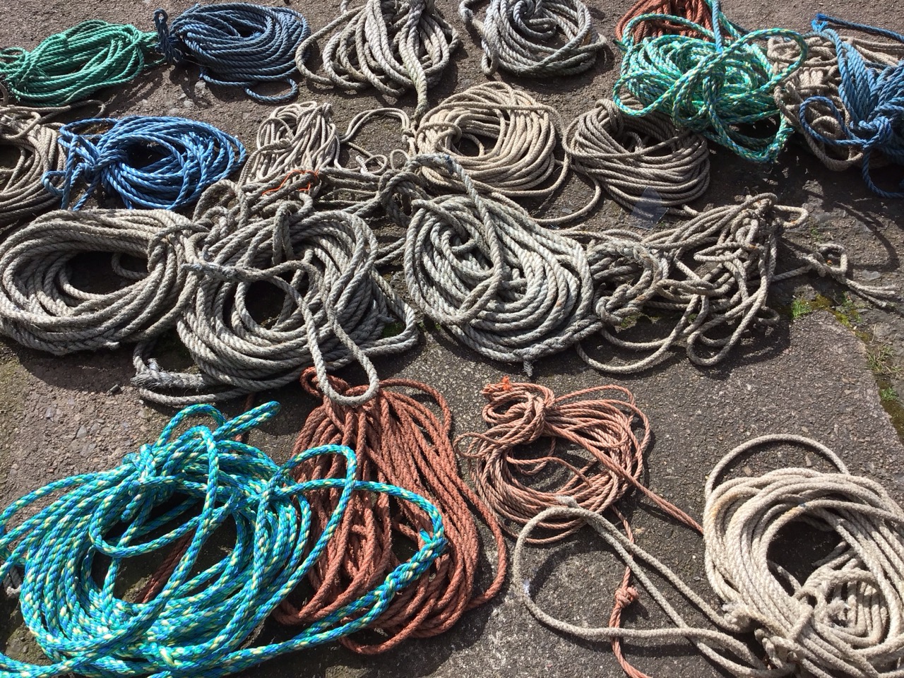 Thirty miscellaneous coiled ropes of various lengths and sizes. (30) - Image 2 of 3