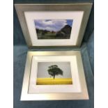 John Williamson, photographic prints - landscape with tree in a rape field and landscape with