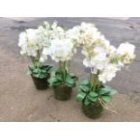 Three large artificial white phalenopsis orchids. (3)