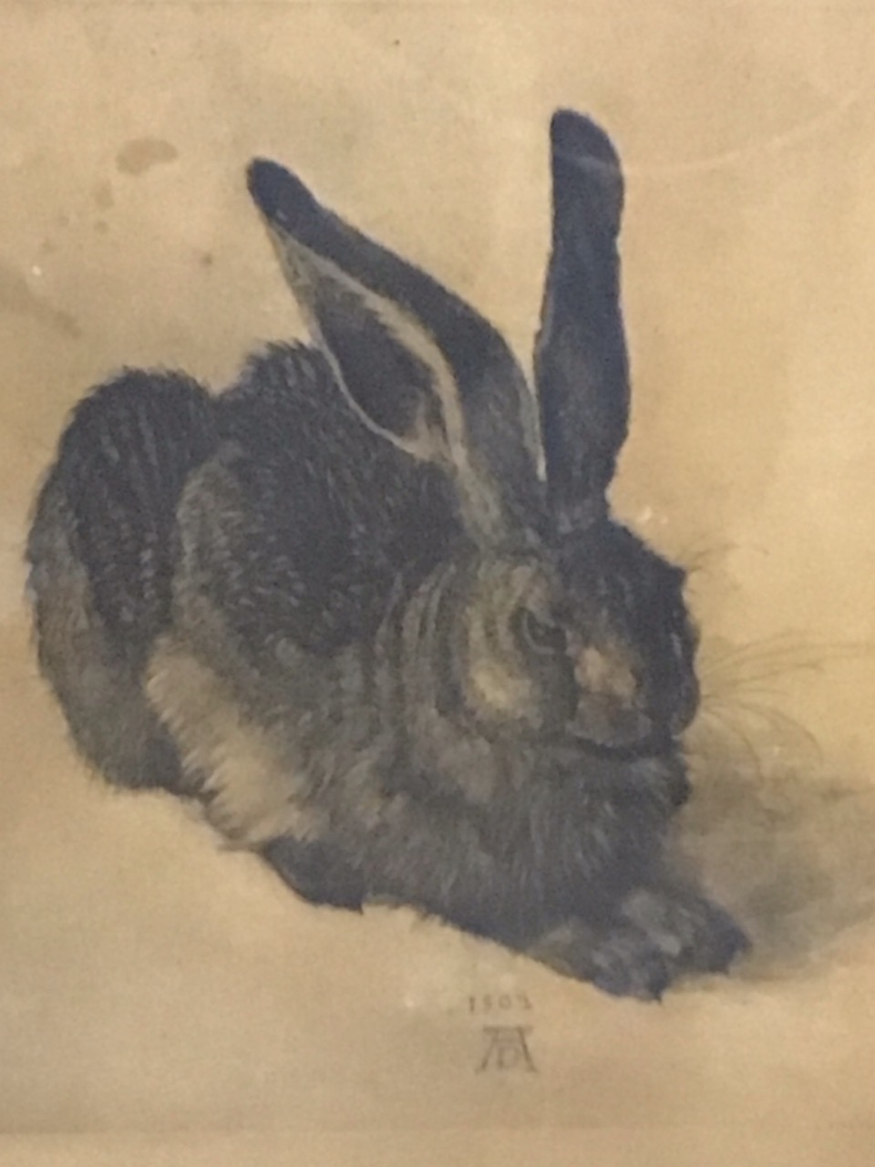 Albrecht Durer, photogravure, the Young Hare, published by Reinthal & Newman - New York, monogrammed - Image 2 of 3