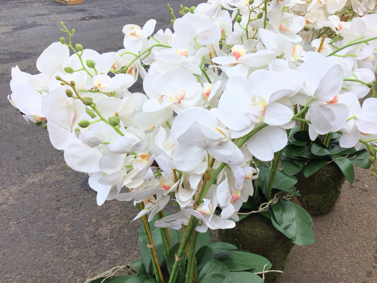 Three large artificial white phalenopsis orchids. (3) - Image 2 of 3