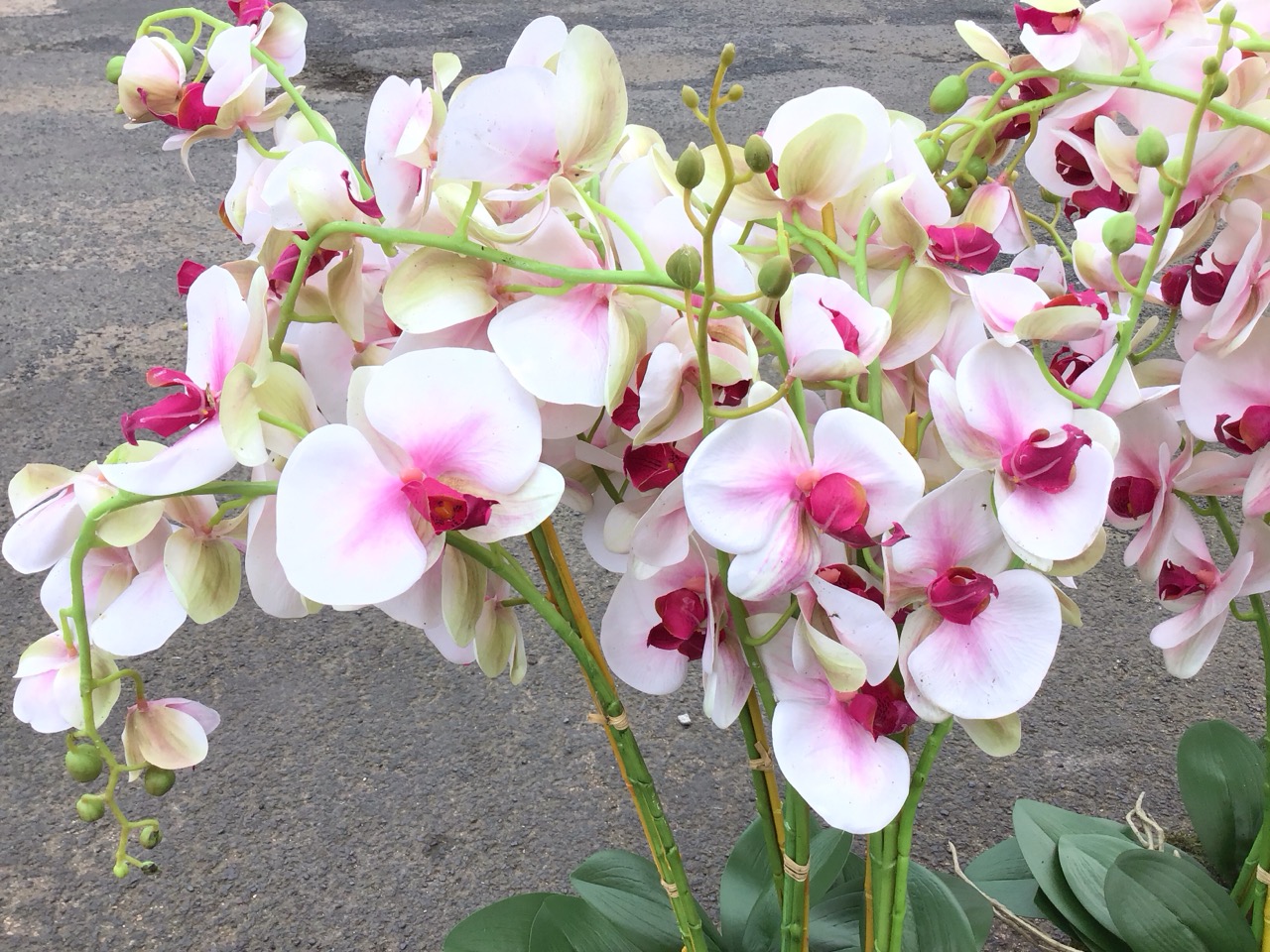 Three large artificial pink phalenopsis orchids. (3) - Image 3 of 3