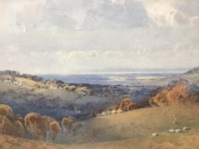 Frederick Tucker, C19th watercolour, extensive landscape with sheep in foreground, signed, in gilt &