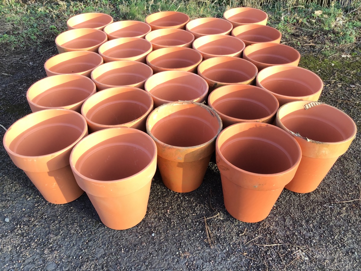Twenty-five terracotta tapering plant pots with moulded rims. (12.25in) (25)