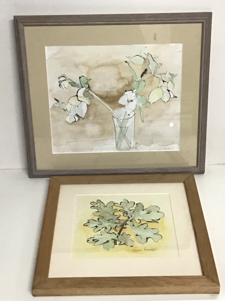 Carol Forrest, ink & watercolours studies, oak Leaves and hellebores in a vase, mounted & framed. (