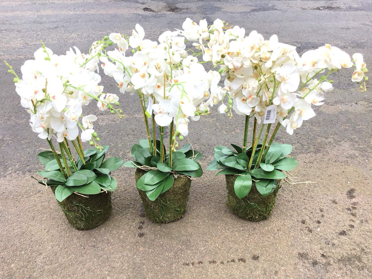 Three large artificial white phalenopsis orchids. (3) - Image 2 of 3