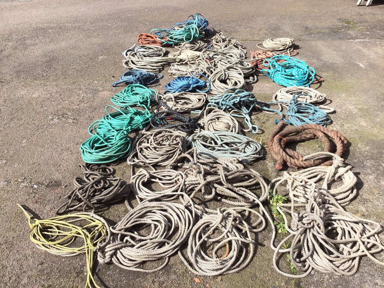 Thirty miscellaneous coiled ropes of various lengths and sizes. (30) - Image 3 of 3