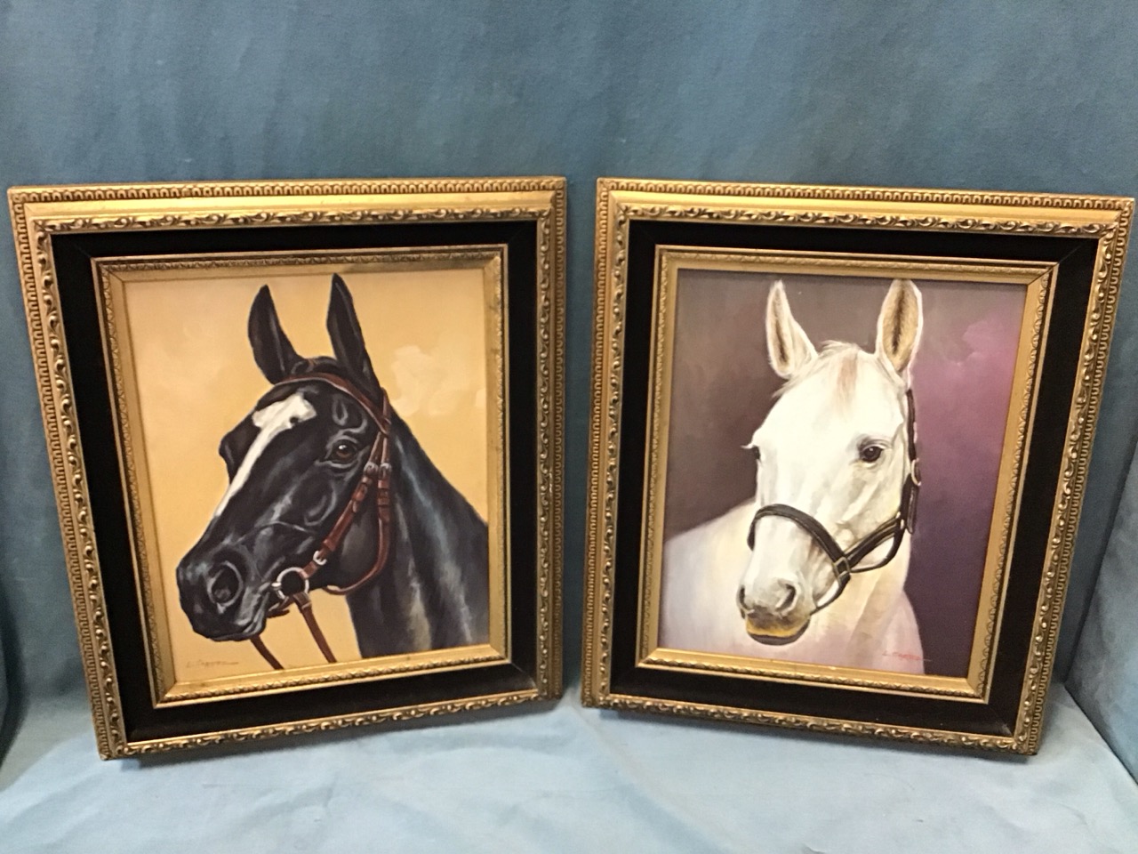 L Cortez, oils on canvas laid on board, horse portraits, a black with white star & stripe, and a