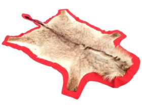 An animal skin rug on red baize ground. (59in x 96in)