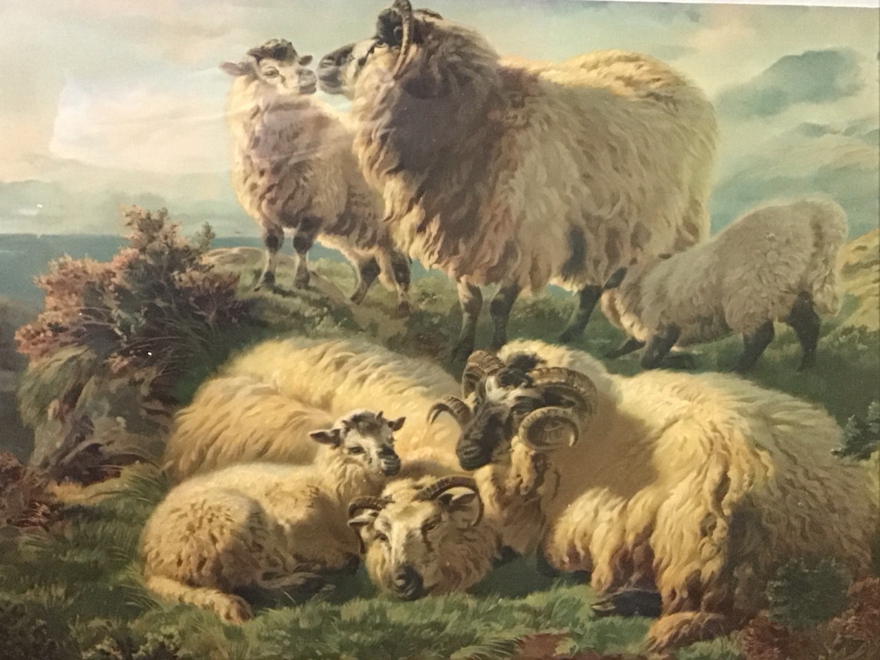 A pair of Victorian chromolithographs, highland landscapes with sheep and cattle, titled Glen Fyne & - Image 3 of 3