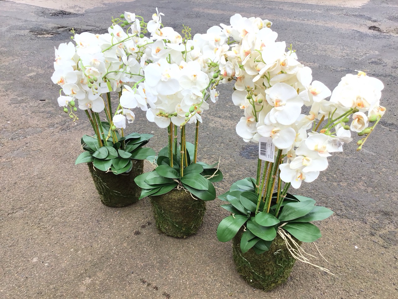 Three large artificial white phalenopsis orchids. (3)