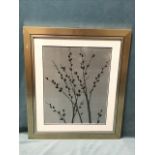 Cheryl Martin, metallic colour print, study of catkins, titled Platinum Shadow to verso, signed in