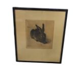 Albrecht Durer, photogravure, the Young Hare, published by Reinthal & Newman - New York, monogrammed