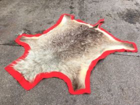 A shaggy animal skin rug on red baize ground. (68in x 86in)
