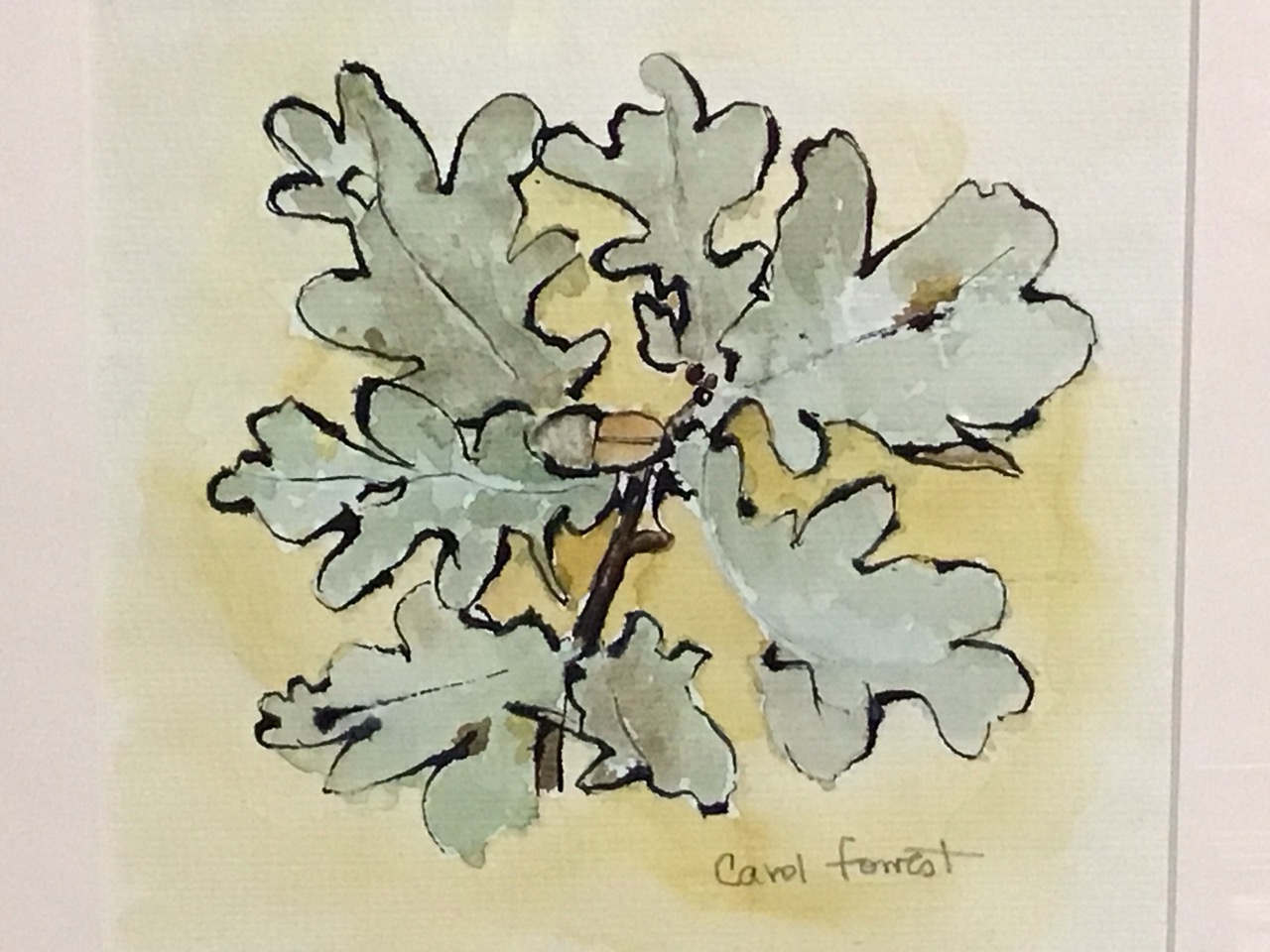 Carol Forrest, ink & watercolours studies, oak Leaves and hellebores in a vase, mounted & framed. ( - Image 3 of 3