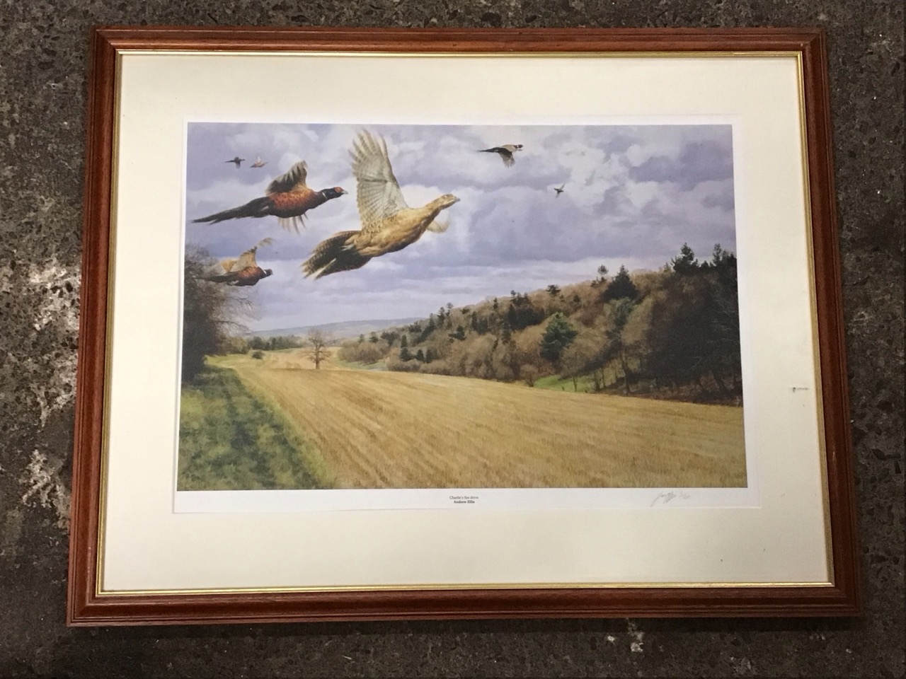 Andrew Ellis, coloured print, pheasants in flight over stubble field, titled Charlies firs drive,