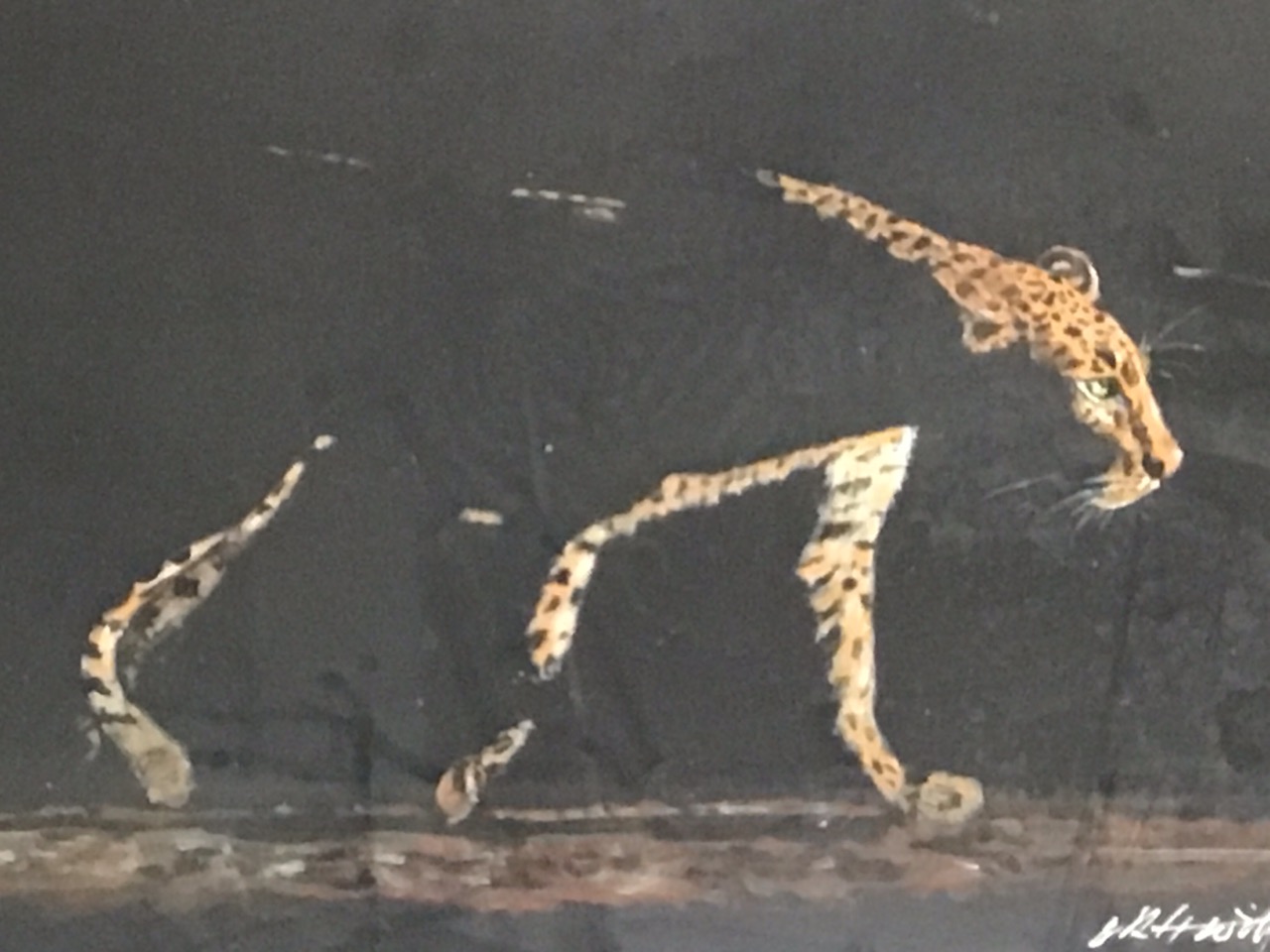 Contemporary gouache on black paper, a jaguar in the shadows, signed indistinctly, mounted & framed. - Image 2 of 3