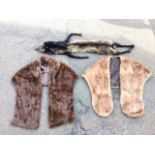 Two lined fur stoles - mink & musquash; and a fox wrap complete with bakelite clip. (3)