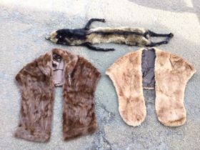 Two lined fur stoles - mink & musquash; and a fox wrap complete with bakelite clip. (3)