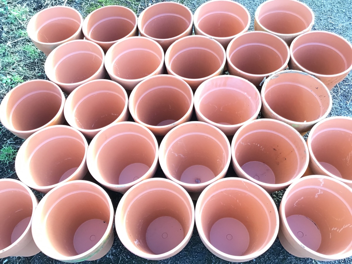 Twenty-five terracotta tapering plant pots with moulded rims. (12.25in) (25) - Image 3 of 3