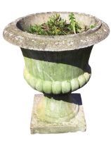 A composition stone classical garden urn with moulded rim on lobbed body, raised on socle with