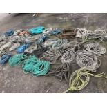 Thirty miscellaneous coiled ropes of various lengths and sizes. (30)