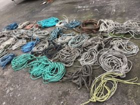 Thirty miscellaneous coiled ropes of various lengths and sizes. (30)