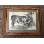 H Cotes, charcoal and chalk, Victorian study of a bull scratching against a gnarled tree, signed,