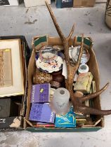 Collection of sundry items to include deer antlers, ammounition box, candlestick and other items (2